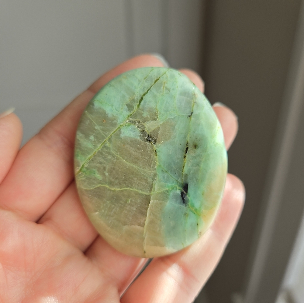 Garnierite Palm Stone